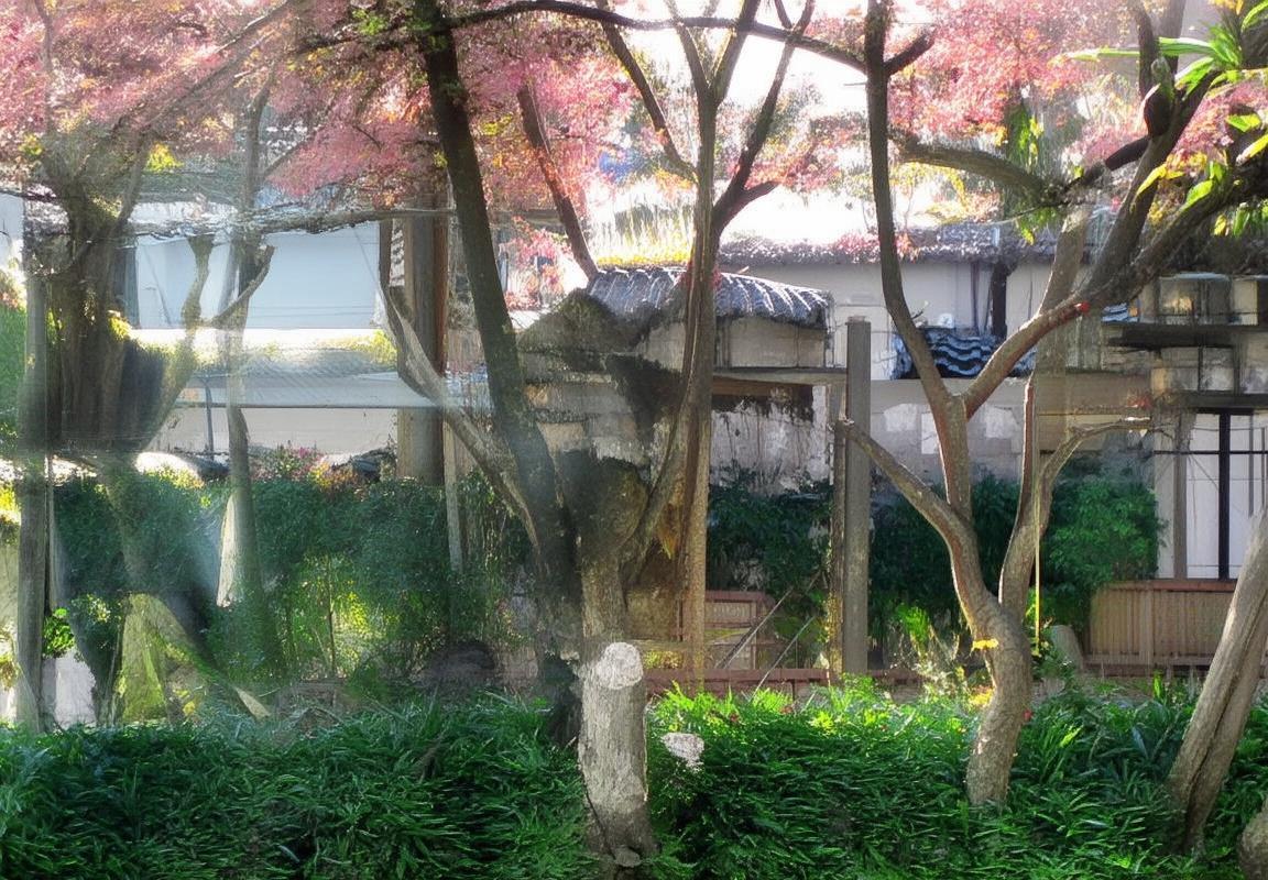 火箭雷霆巅峰对决：青春风暴战报(图4)